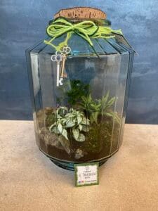 Terrarium vendita Rimini 2