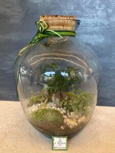 Terrarium vendita Rimini 3