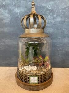 Terrarium vendita Rimini 5